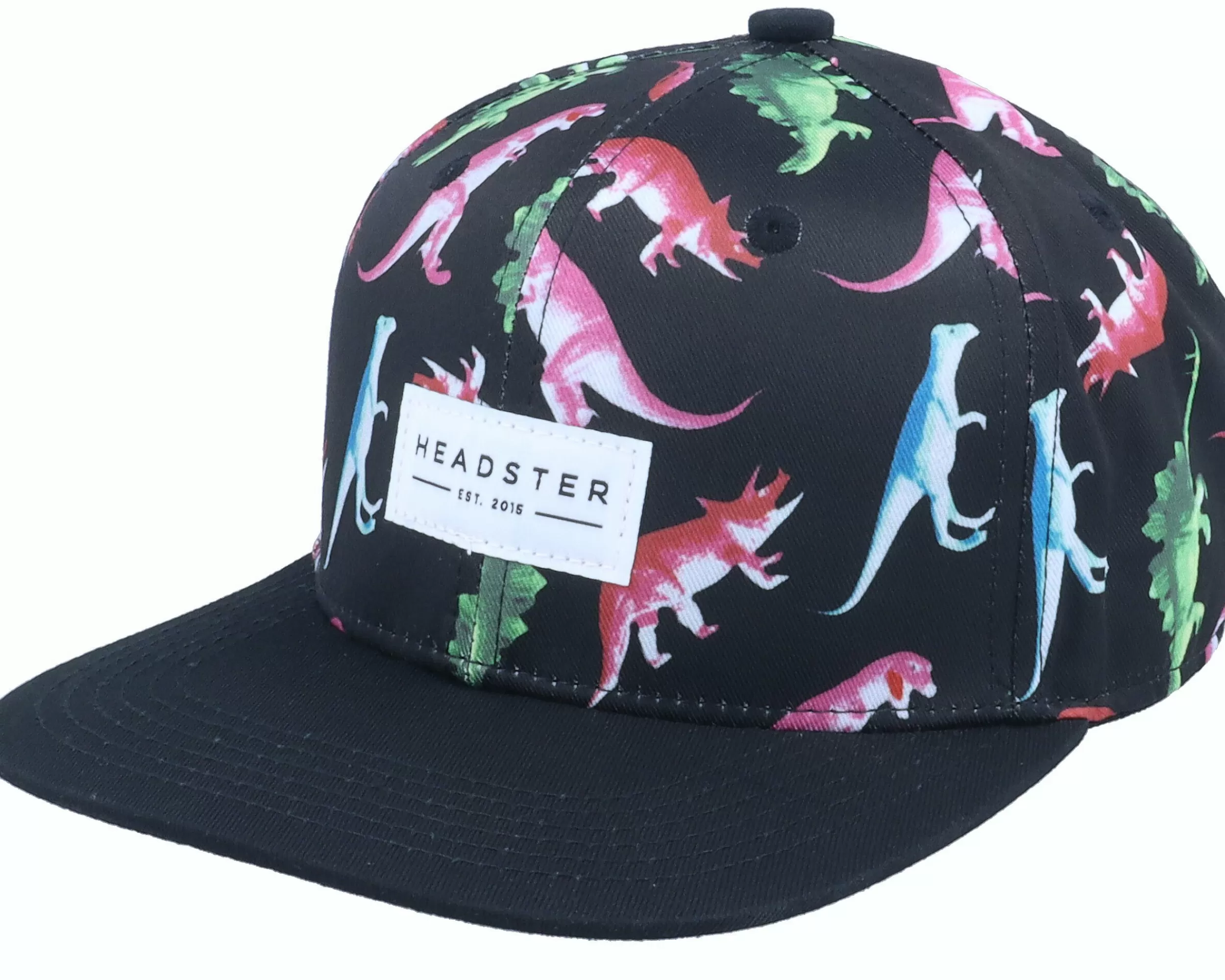 Headster Kids Dino Black Snapback - -Unisex Snapback