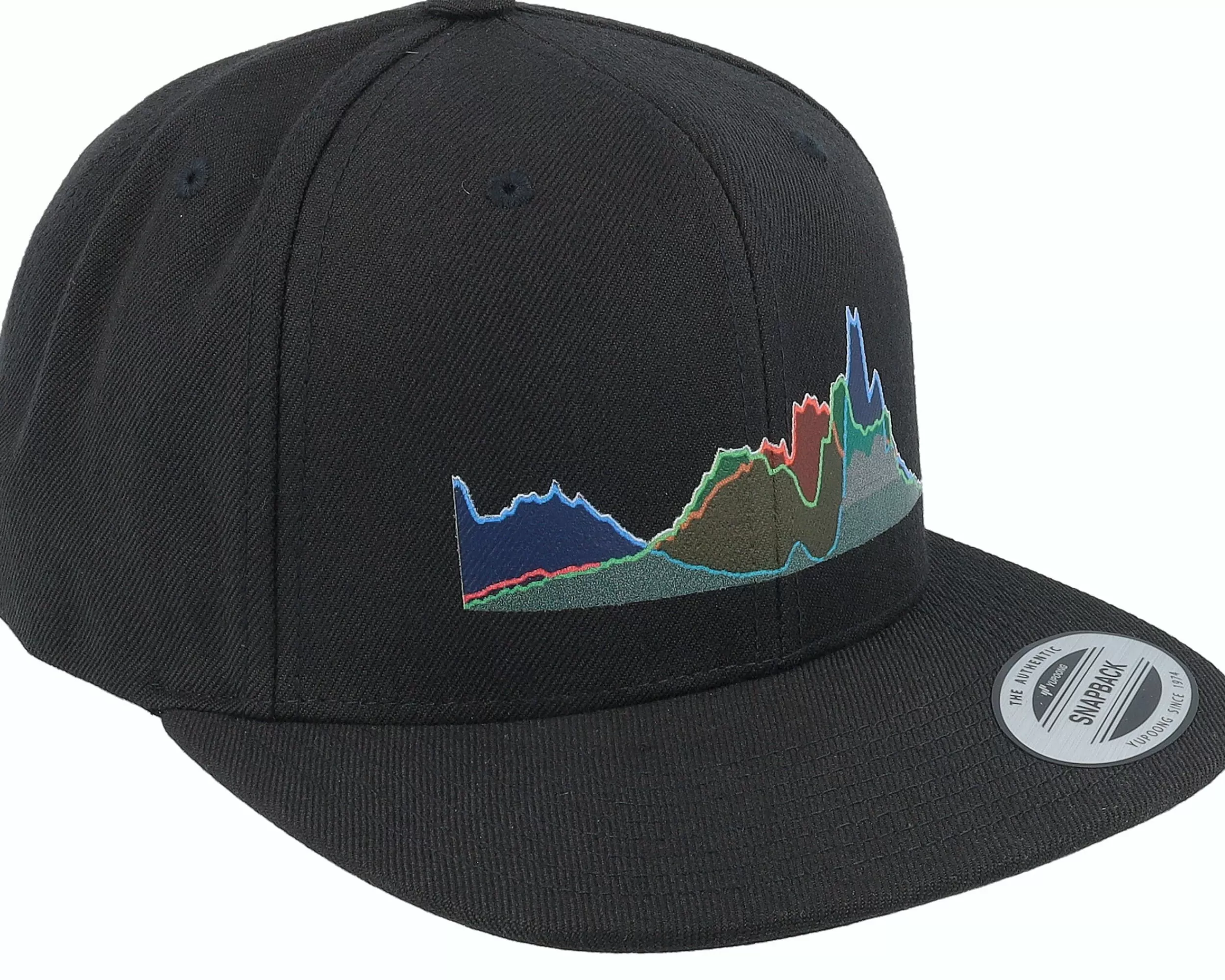 Iconic Waveform Black Snapback - -Unisex Snapback